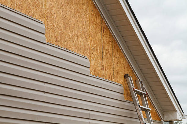 Professional Siding Inspection technician working in Hudson, CO